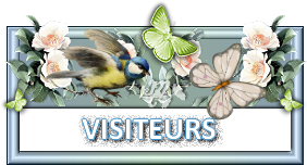 Visiteurs